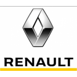 CUARTO SALPICADERA PLATINA NISSAN CLIO KANGOO TRAFIC RENAULT TRANSPARENTE  OEM.