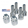 BIRLO SEGURIDAD  12X1.25